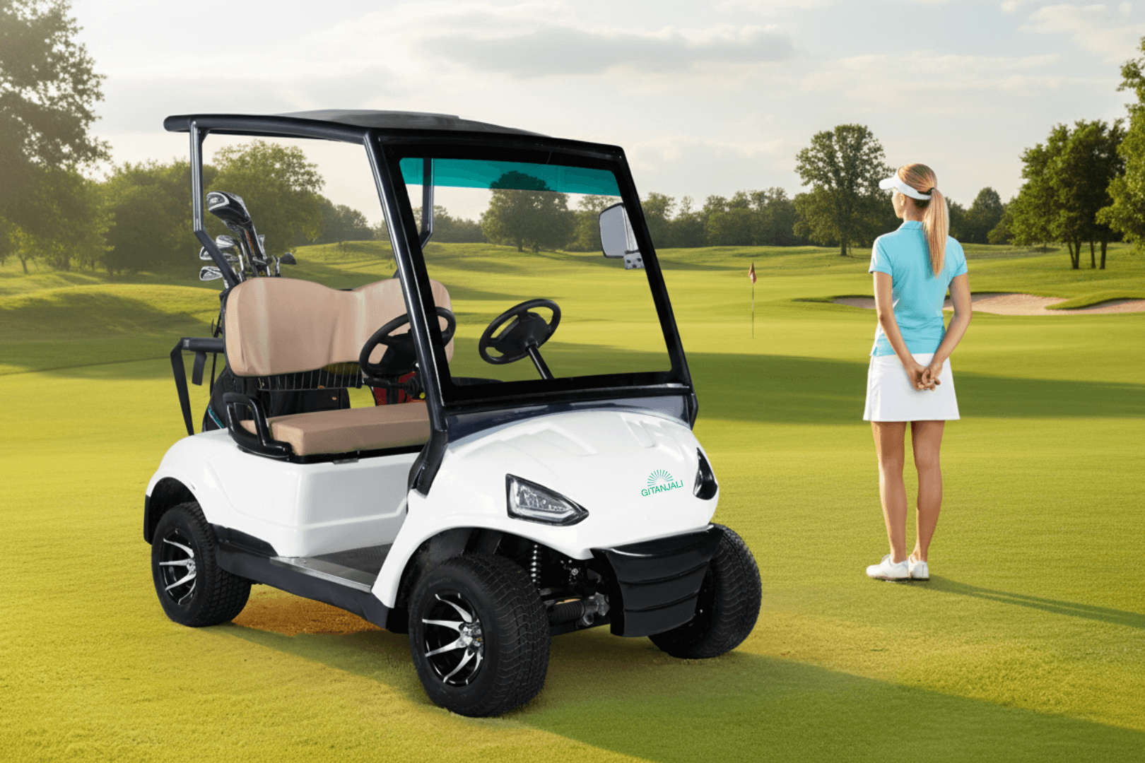 2 Seater Golf Cart